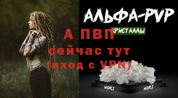 spice Заволжье