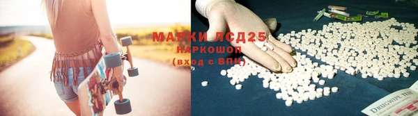 spice Заволжье