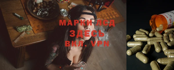таблы Заводоуковск