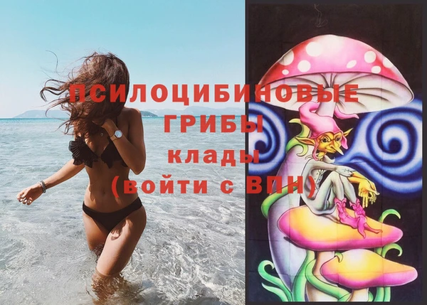 таблы Заводоуковск