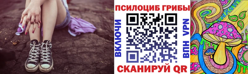 Купить закладки Зарайск Псилоцибиновые грибы Magic Shrooms