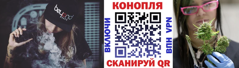 Купить где  Зарайск  Конопля индика 